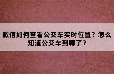 微信如何查看公交车实时位置？怎么知道公交车到哪了？