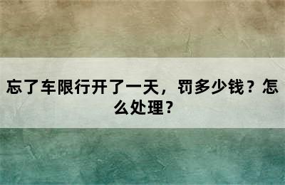 忘了车限行开了一天，罚多少钱？怎么处理？