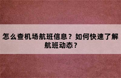 怎么查机场航班信息？如何快速了解航班动态？