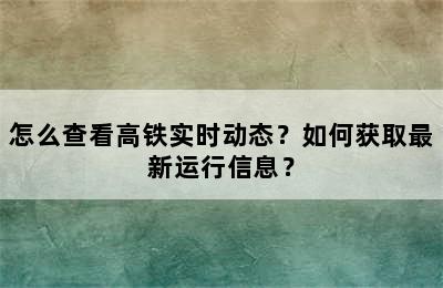 怎么查看高铁实时动态？如何获取最新运行信息？