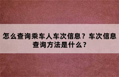 怎么查询乘车人车次信息？车次信息查询方法是什么？