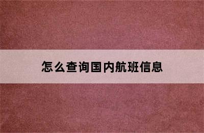 怎么查询国内航班信息