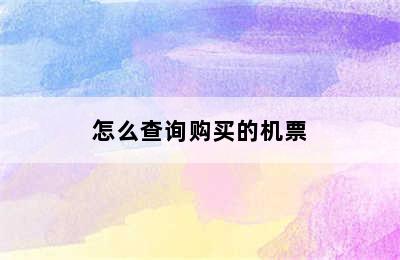 怎么查询购买的机票