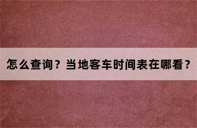 怎么查询？当地客车时间表在哪看？