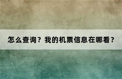 怎么查询？我的机票信息在哪看？