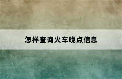 怎样查询火车晚点信息