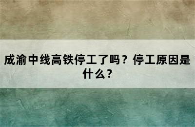 成渝中线高铁停工了吗？停工原因是什么？