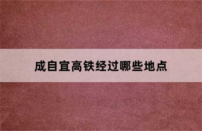 成自宜高铁经过哪些地点