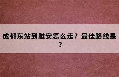 成都东站到雅安怎么走？最佳路线是？