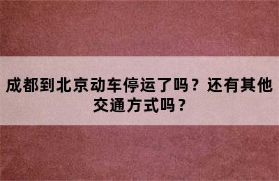 成都到北京动车停运了吗？还有其他交通方式吗？