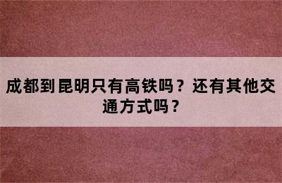成都到昆明只有高铁吗？还有其他交通方式吗？