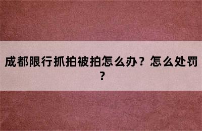 成都限行抓拍被拍怎么办？怎么处罚？