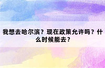 我想去哈尔滨？现在政策允许吗？什么时候能去？