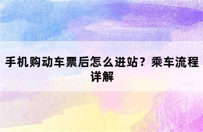 手机购动车票后怎么进站？乘车流程详解