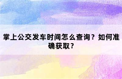 掌上公交发车时间怎么查询？如何准确获取？