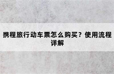 携程旅行动车票怎么购买？使用流程详解