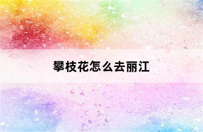 攀枝花怎么去丽江