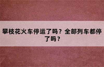 攀枝花火车停运了吗？全部列车都停了吗？