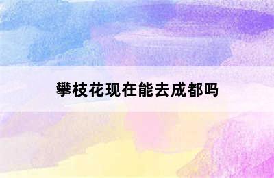 攀枝花现在能去成都吗