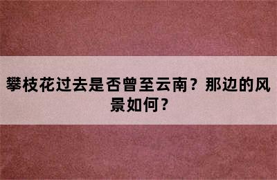 攀枝花过去是否曾至云南？那边的风景如何？