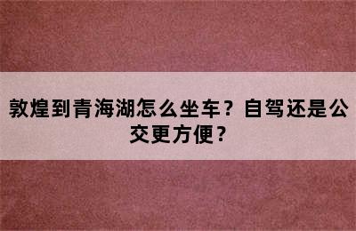 敦煌到青海湖怎么坐车？自驾还是公交更方便？