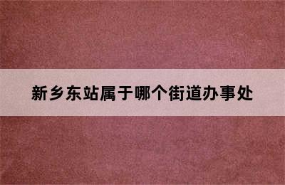 新乡东站属于哪个街道办事处