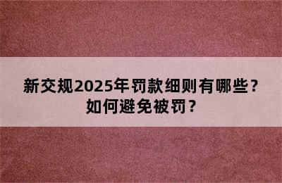 新交规2025年罚款细则有哪些？如何避免被罚？