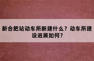 新合肥站动车所新建什么？动车所建设进展如何？