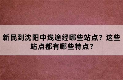 新民到沈阳中线途经哪些站点？这些站点都有哪些特点？