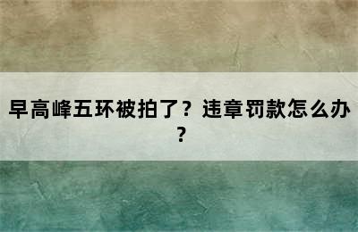早高峰五环被拍了？违章罚款怎么办？