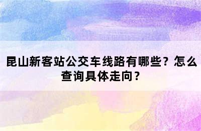 昆山新客站公交车线路有哪些？怎么查询具体走向？