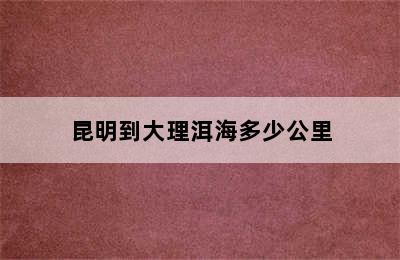 昆明到大理洱海多少公里