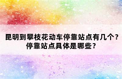 昆明到攀枝花动车停靠站点有几个？停靠站点具体是哪些？
