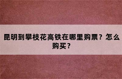 昆明到攀枝花高铁在哪里购票？怎么购买？