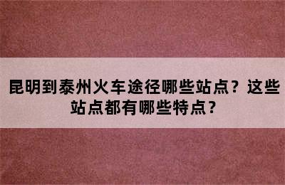 昆明到泰州火车途径哪些站点？这些站点都有哪些特点？