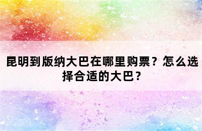 昆明到版纳大巴在哪里购票？怎么选择合适的大巴？