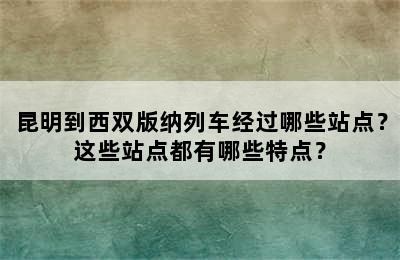 昆明到西双版纳列车经过哪些站点？这些站点都有哪些特点？