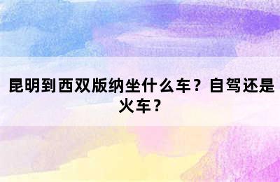 昆明到西双版纳坐什么车？自驾还是火车？