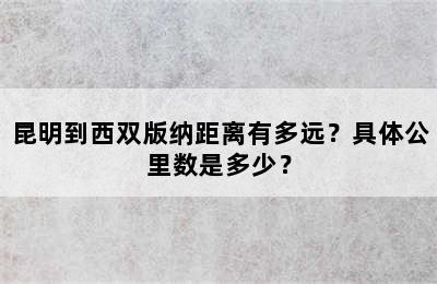 昆明到西双版纳距离有多远？具体公里数是多少？