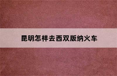 昆明怎样去西双版纳火车