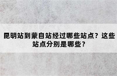 昆明站到蒙自站经过哪些站点？这些站点分别是哪些？