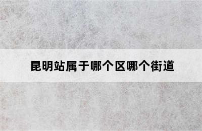 昆明站属于哪个区哪个街道