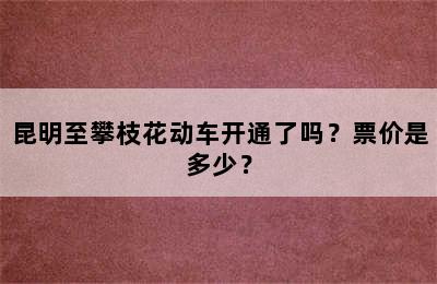 昆明至攀枝花动车开通了吗？票价是多少？