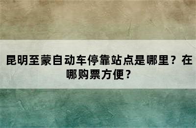 昆明至蒙自动车停靠站点是哪里？在哪购票方便？