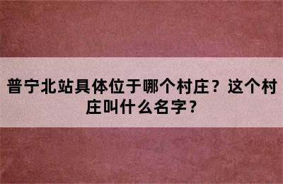 普宁北站具体位于哪个村庄？这个村庄叫什么名字？