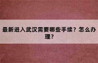 最新进入武汉需要哪些手续？怎么办理？