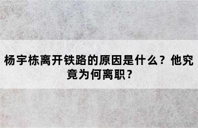 杨宇栋离开铁路的原因是什么？他究竟为何离职？
