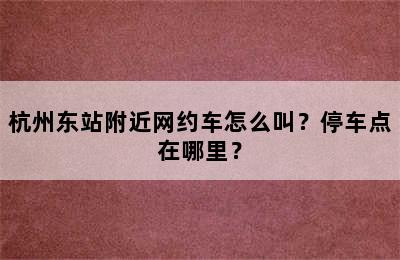 杭州东站附近网约车怎么叫？停车点在哪里？