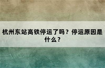 杭州东站高铁停运了吗？停运原因是什么？