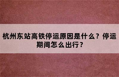 杭州东站高铁停运原因是什么？停运期间怎么出行？